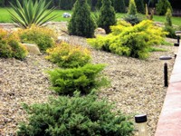 ogród prywatny w Przemyślu