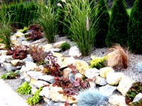 ogród skalny - Przemyśl