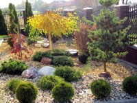 ogród przydomowy - Jarosław