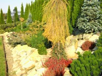 skarpy w duzym ogrodzie - Rzeszów