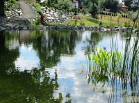 Przemyśl - zieleń naprywatnej posesji