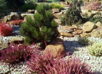 Duży ogród przydomowy - okolice Jarosławia i Przeworska