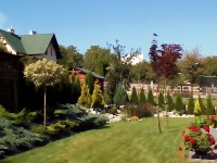 Przemyśl - zieleń naprywatnej posesji