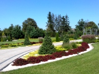 Duży ogród w stylu angielkim - rozległe trawniki i różnorodne nasadzenia krzewów, drzew i traw ozdobnych.