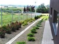 Zieleń przy budynku firmowym - okolice Jarosławia