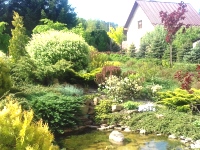 Bujny ogród wypoczynkowy - małe oczko wodne otoczone barwnymi nasadzeniami.