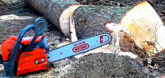 wycinka drzew Przemyśl, Jarosław, Przeworsk